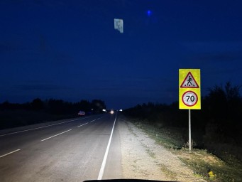В Хангаласском районе при ДТП погибли лошади и пострадал водитель