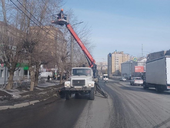 На выходных в Кирове ветер снес деревья на четырех улицах