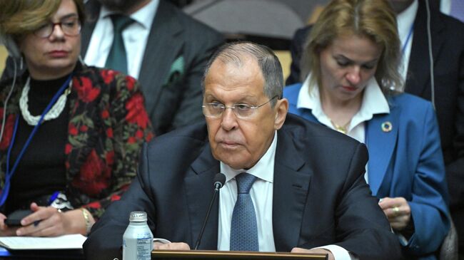 Россия будет добиваться того, чтобы мнение арабских стран звучало весомо