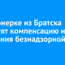 Пенсионерке из Братска выплатят компенсацию из-за нападения безнадзорной собаки