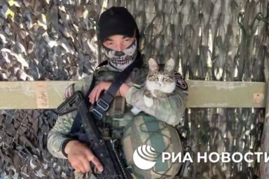 Российским бойцам на запорожском направлении помогает кот