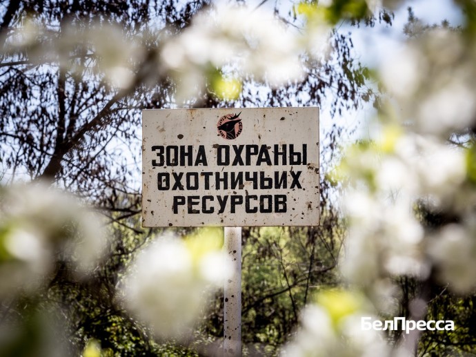 Во время майских праздников белгородские леса усиленно патрулируют 200 специалистов
