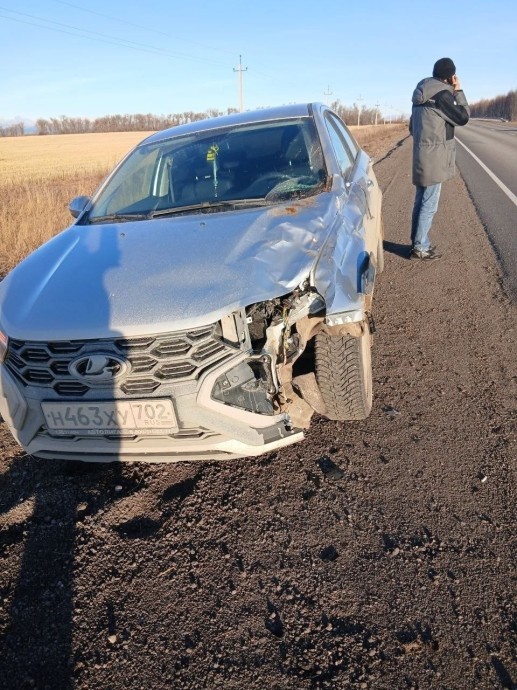 За два дня в районе Башкирии произошло три ДТП с животными За два дня в районе Башкирии произошло три ДТП с животными