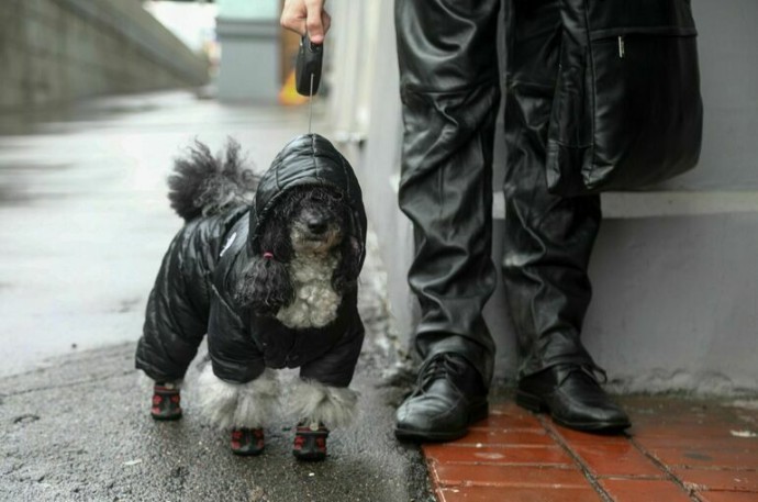 В Гидрометцентре рассказали, как долго продержится тепло в Москве и Подмосковье