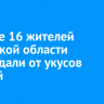 В марте 16 жителей Иркутской области пострадали от укусов клещей