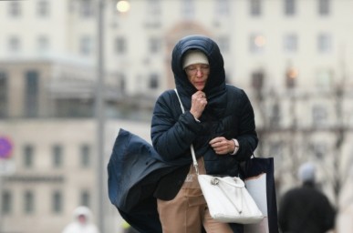 Москвичей предупредили об усилении ветра в ближайшие часы