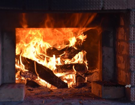 В Башкирии с начала 2025 года в пожарах погибли 161 человек В Башкирии с начала 2025 года в пожарах погибли 161 человек