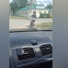 Жителя Краснослободска отправили в колонию-поселение за нетрезвую езду