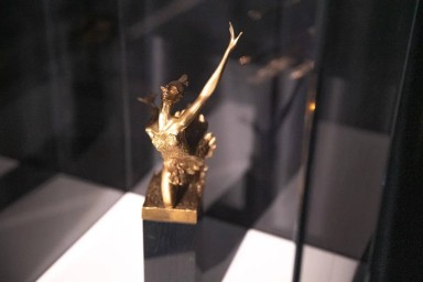 Масштабная выставка Бахрушинского музея к столетию Майи Плисецкой открылась в Рязани