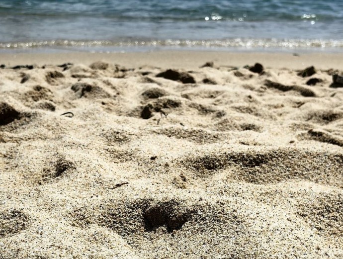 «Ползают прямо под кожей»: чем на самом деле опасен пляжный песок?