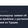Россельхознадзор заявил об учащении проблем с растительной продукцией из Турции