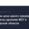 ЛЭП и два цеха одного предприятия повреждены дронами ВСУ в Белгородской области
