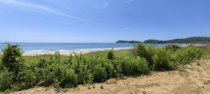 Вирус Коксаки диагностируется приморцам после выходных в Ливадии Вирус Коксаки диагностируется приморцам после выходных в Ливадии