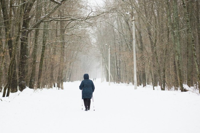 Новая лыжная база: в Пензенской области проектируют спортивный центр Новая лыжная база: в Пензенской области проектируют спортивный центр