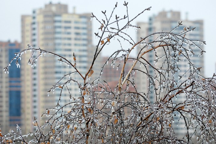 Позднякова сообщила о гололедице в Москве на следующей неделе