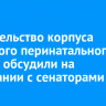 Строительство корпуса Братского перинатального центра обсудили на совещании с сенаторами