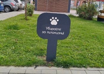 Табличку с напоминание для хозяев собак установили в Благовещенске
