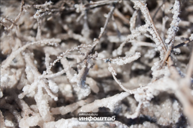 Курс на похолодание: что метеорологи обещают астраханцам 27 ноября