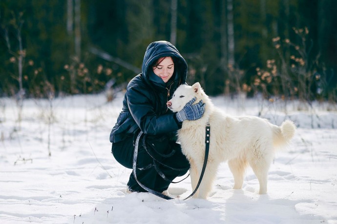 Сервис «Моспитомец» стал лучшим социальным проектом Рунета