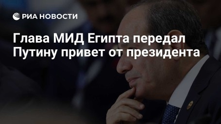 Глава МИД Египта передал Путину привет от президента