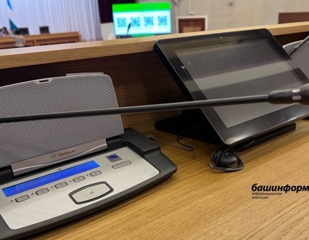 В Башкирии утвердили статус Молодежной общественной палаты