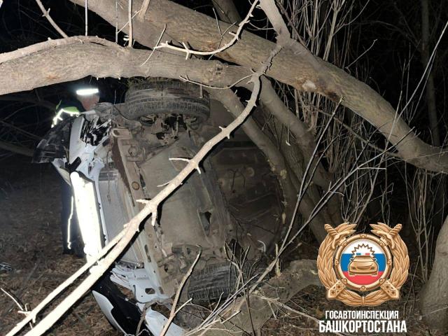 30-летний житель Башкирии погиб в аварии по вине пьяного водителя 30-летний житель Башкирии погиб в аварии по вине пьяного водителя