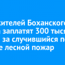 Двое жителей Боханского района заплатят 300 тысяч рублей за случившийся по их вине лесной пожар