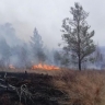 Виновник лесного пожара возместит около 150 тысяч рублей затрат за тушение
