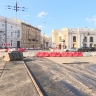 Агротехнический период в Петербурге стартует с 1 апреля