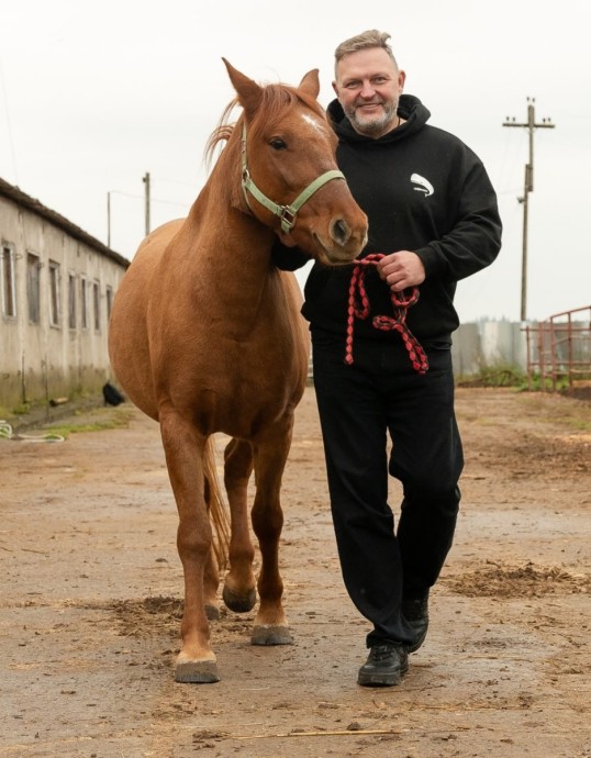 Никита Белых предложил поставить в Кирове лошадь