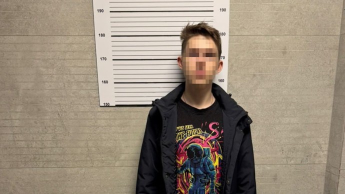 21-летнего курьера, обманувшего пенсионерку на 350 тыс. рублей, задержали в Янино