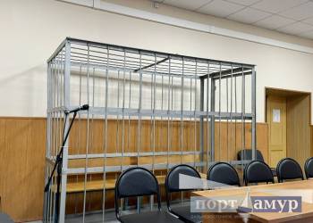 В Приамурье участник смертельного ДТП предстанет перед судом