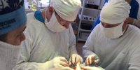 В астраханских больницах не хватает почти 500 медработников