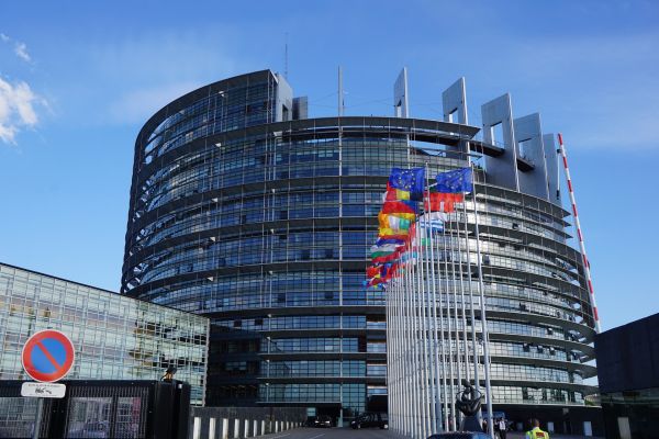 Такой большой, а сплетники — грузинский депутат о Европарламенте
