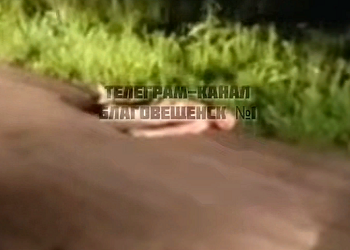 Суд рассмотрел дело амурчанина, который убил и расчленил соседку