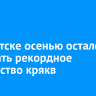 В Иркутске осталось зимовать рекордное количество крякв
