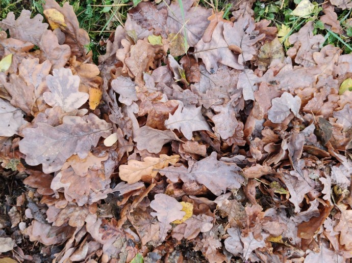 В Башкирии в конце осени и начале зимы ожидается удивительная погода