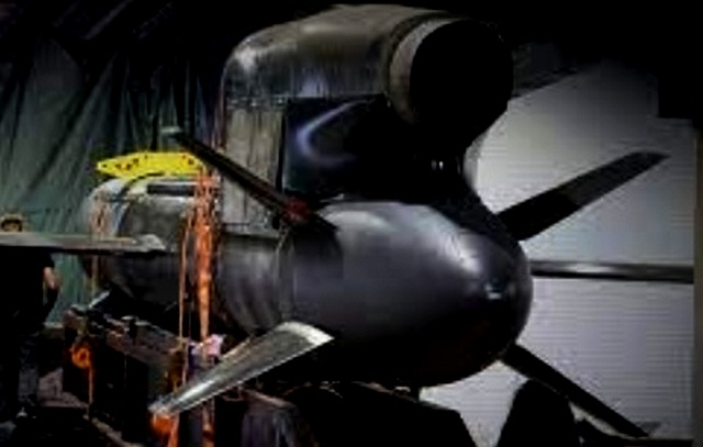 В России "Буревестник", а на Украине - примитивный недоделанный "Фламинго"