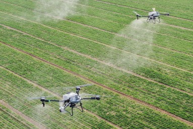 Двойных: роботизация в АПК позволяет сократить потери урожая на 10%