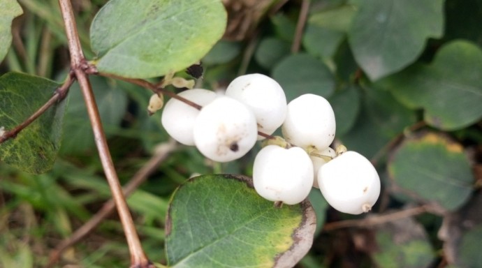 В Башкирии сохранится аномальное тепло В Башкирии сохранится аномальное тепло