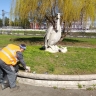 В Курске продолжается уборка общественных пространств