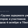 Полиция Грузии задержала уже 44 организаторов и участников беспорядков 4 октября в Тбилиси