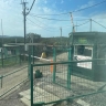 Туристический поток между Владивостоком и Хуньчунем резко вырос