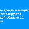 Сильные дожди и мокрый снег прогнозируют в Иркутской области 11 сентября