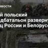 Новый польский разведбатальон развернут у границ России и Белоруссии