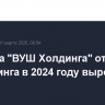 Выручка "ВУШ Холдинга" от услуг кикшеринга в 2024 году выросла на 33%