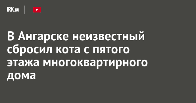 В Ангарске неизвестный сбросил кота с пятого этажа многоквартирного дома