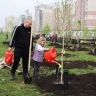 В рамках акции «Зелёная Башкирия» высажено более 5,5 тысячи деревьев