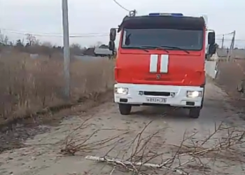 В Приамурье житель села заблокировал проезд пожарной машине и поджег траву