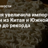 Россия увеличила импорт лапши из Китая и Южной Кореи до рекорда